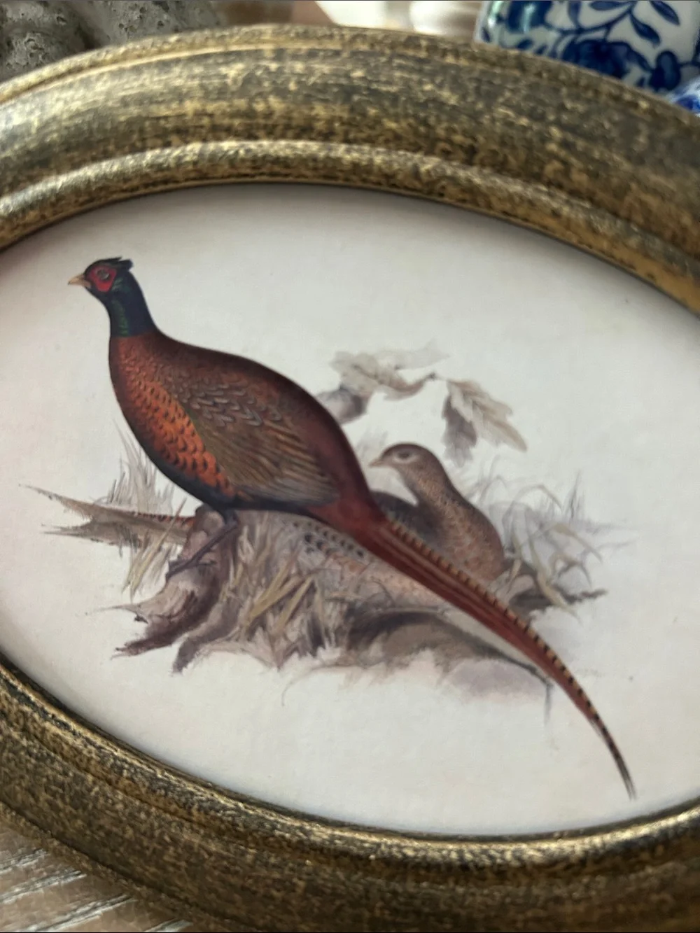 NEW! Vintage Inspired Shabby Chic Fall Harvest Gold Oval Framed Pheasant Print